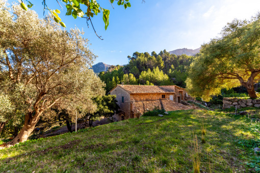 Finca y terreno