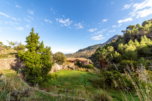 Finca y terreno