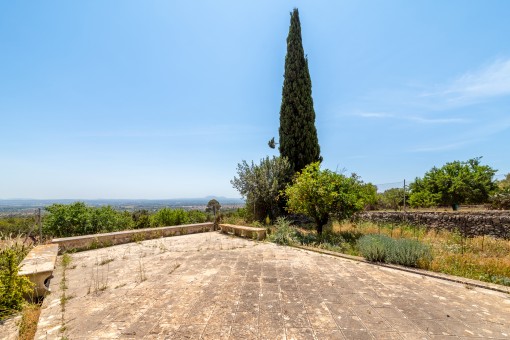 Terraza con una vista