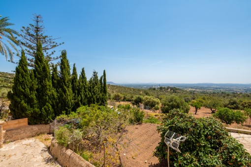 Jardín