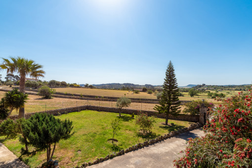 Vista al jardín