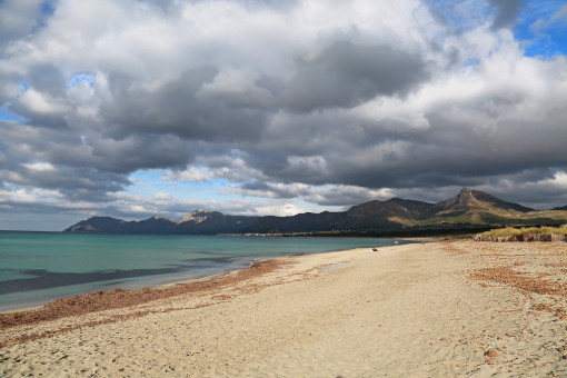 Playa