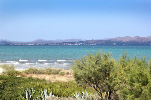 Vistas 