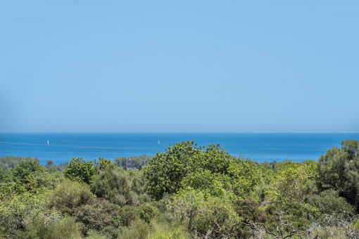 Vista al mar