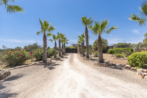 Acceso a la finca