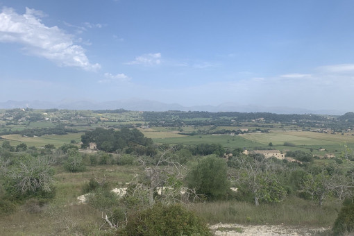 Vista al terreno