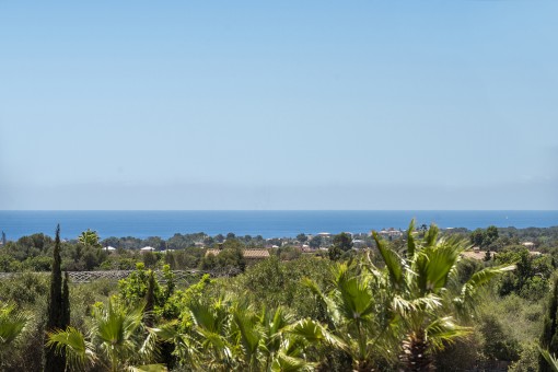 Cerca del mar