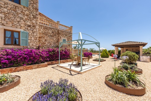Terraza lateral 