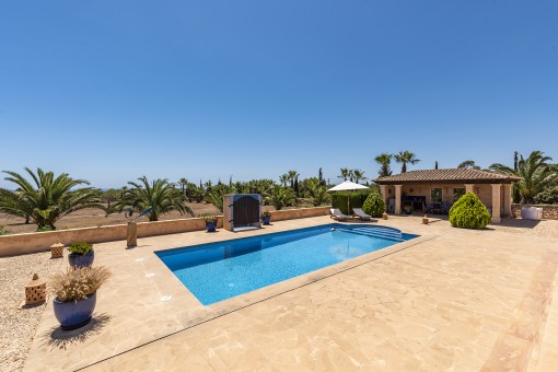Zona de la piscina esplendida