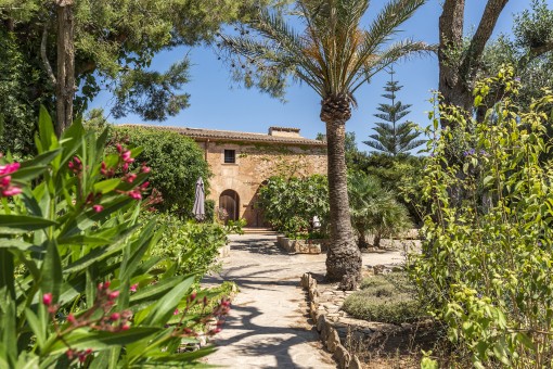 Finca en Ses Salines