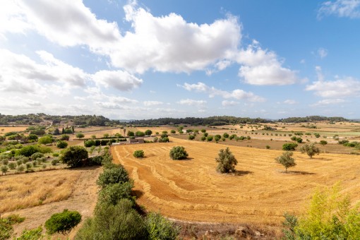 Las vistas desde la casa