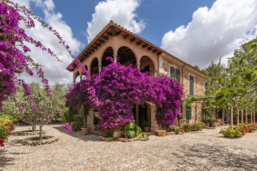 Vista exterior de la finca