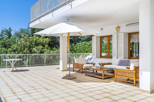 Terraza
