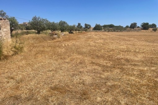 Solar en Porreres para vender