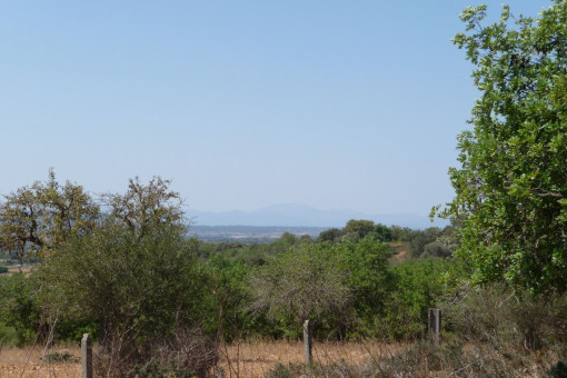 Hermoso terreno con proyecto básico en buena ubicación cerca de Manacor