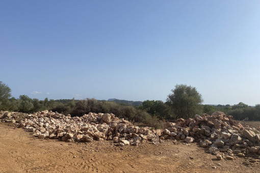 Terreno