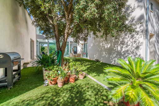 Patio / Terraza