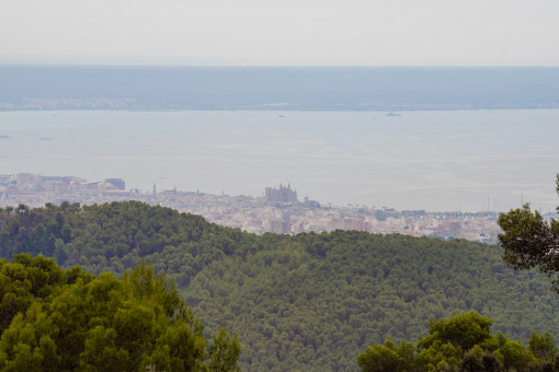 Vistas hasta Palma