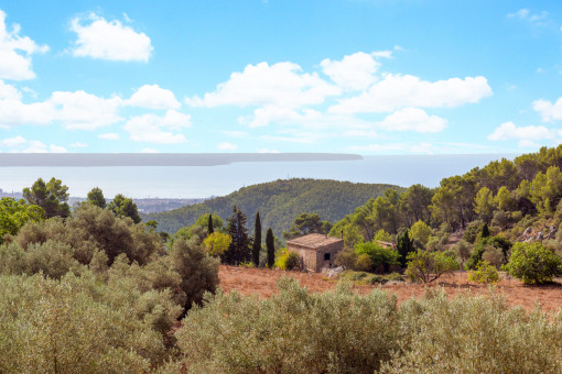 Vistas panorámicas