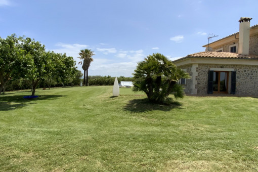 Finca y jardín