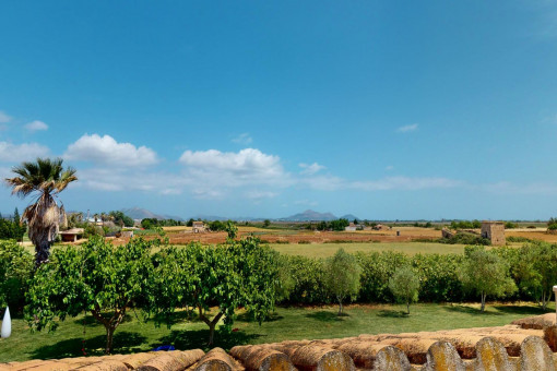 Vistas al paisaje