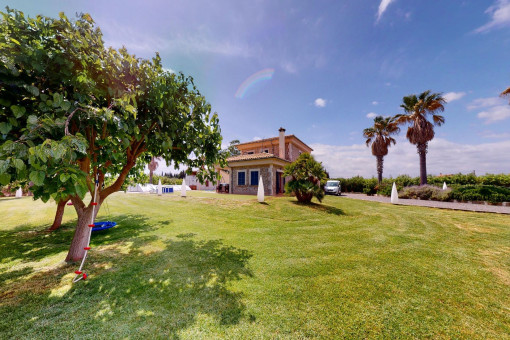 Finca de piedra natural con piscina y plantación de olivos cerca de la playa de Muro