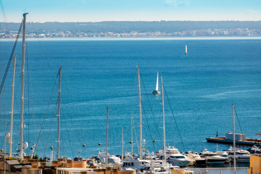 Adosado con azotea y vistas hasta la catedral en Palma