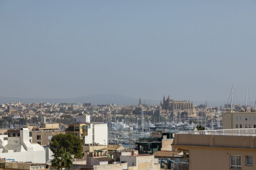 Vista a Palma desde la azotea