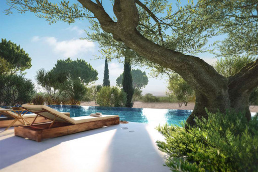 Ambiente de oasis. alrededor de la piscina