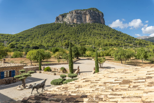 Vista a la montaña