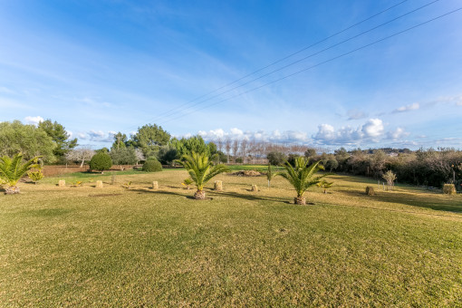 Jardín extenso