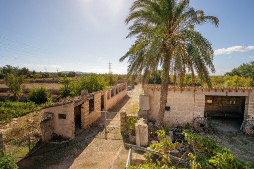 Finca en Llucmajor