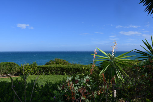 Vistas desde la terraza