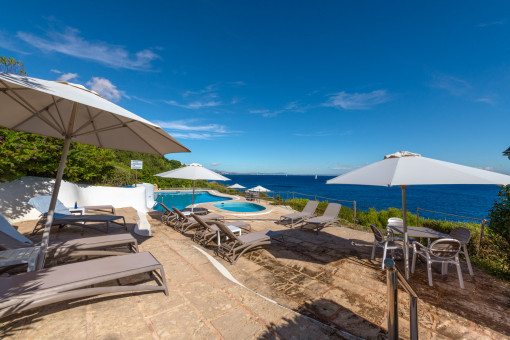 Terraza con tumbonas en primera linea