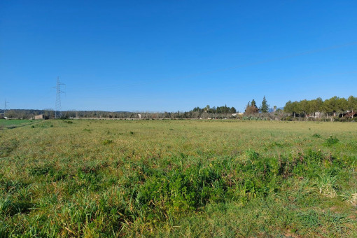 Vista del terreno
