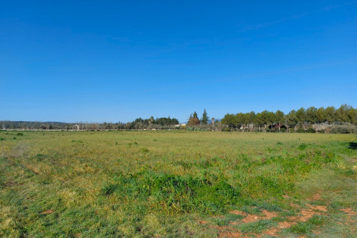 Parcela en zona tranquila, con licencia de obra en trámite, cerca de Ruberts