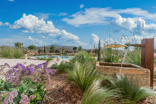 Jardín mediterraneo