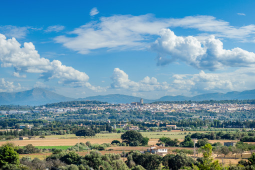 Vistas