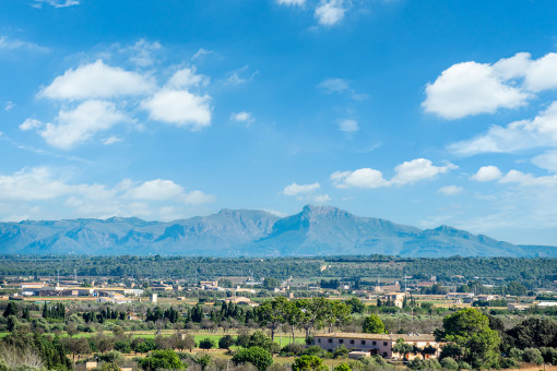 Vistas