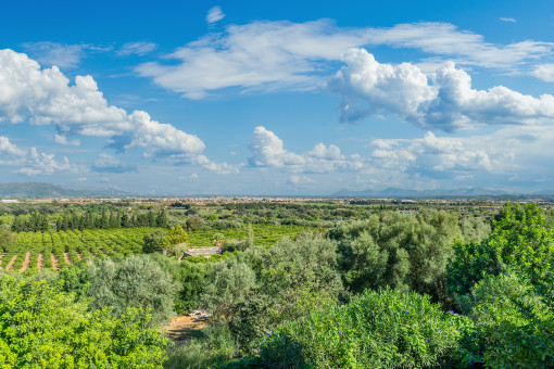 Vistas