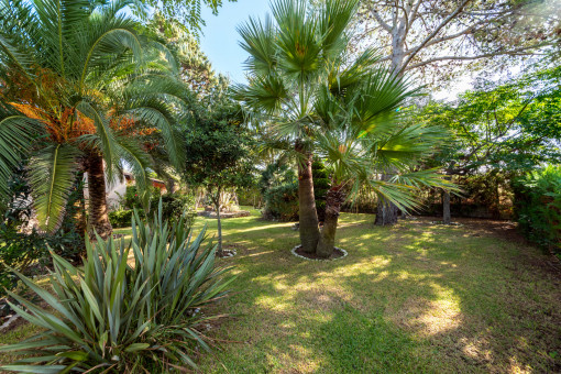 Jardín