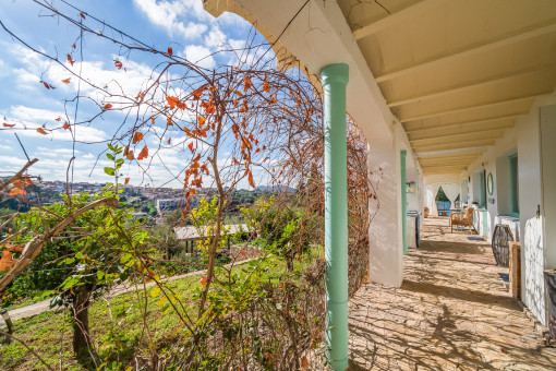 Terraza y jardín 