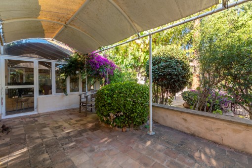 Terraza