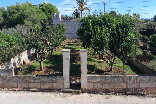 Solar en Manacor-Norte