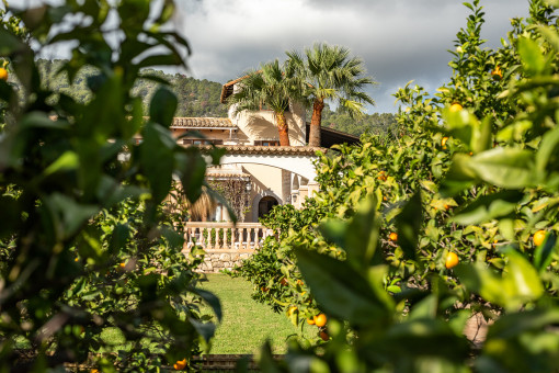 Jardín y finca