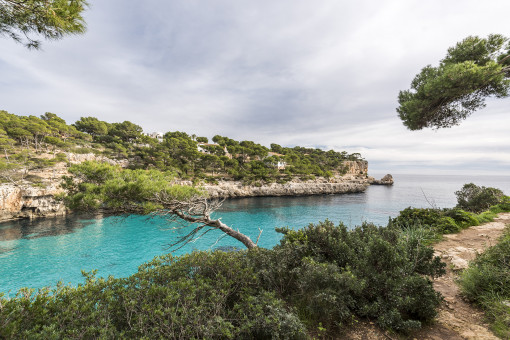 Vista al mar