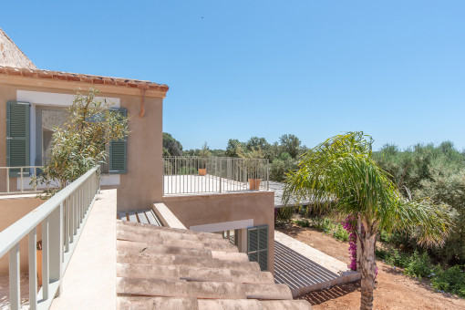 Terraza con vistas