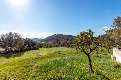 Jardín con vista
