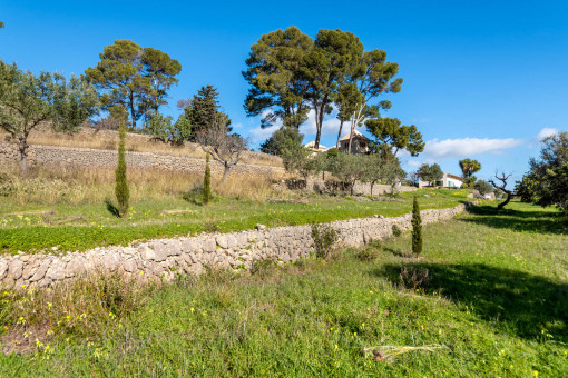 Jardín