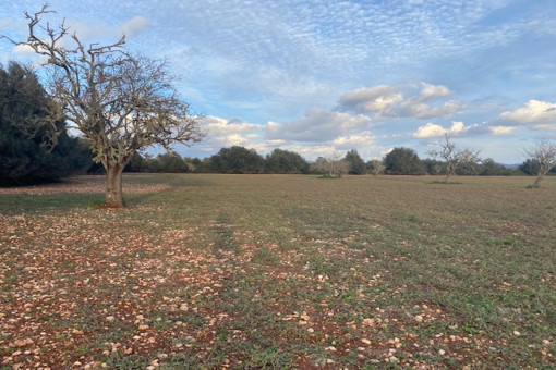 View of the property